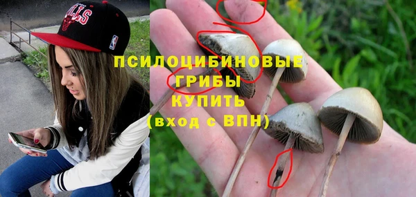 герыч Курчалой