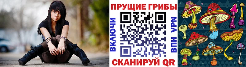 Галлюциногенные грибы мицелий  купить наркотики цена  это состав  Краснослободск 